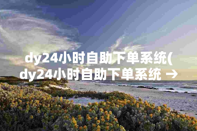 dy24小时自助下单系统(dy24小时自助下单系统 → dy24小时高效下单服务)