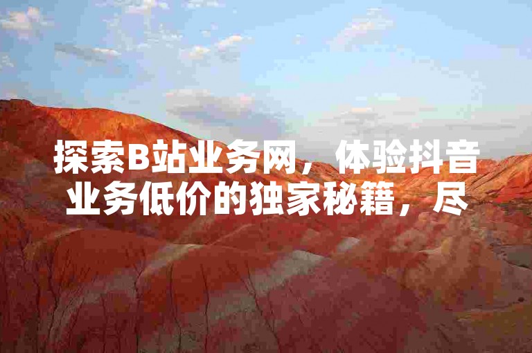 探索B站业务网，体验抖音业务低价的独家秘籍，尽在哔哩哔哩自助平台的全新揭秘！