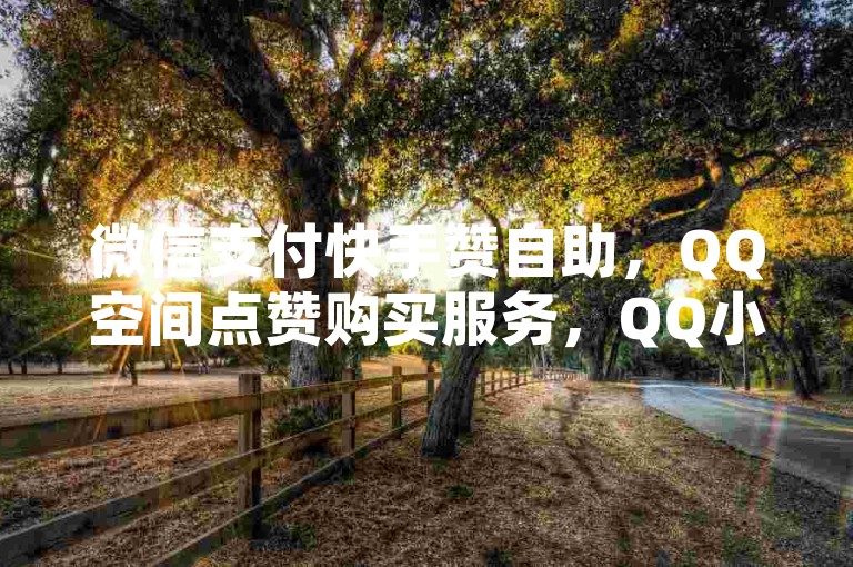 微信支付快手赞自助，QQ空间点赞购买服务，QQ小号2元批量供应。