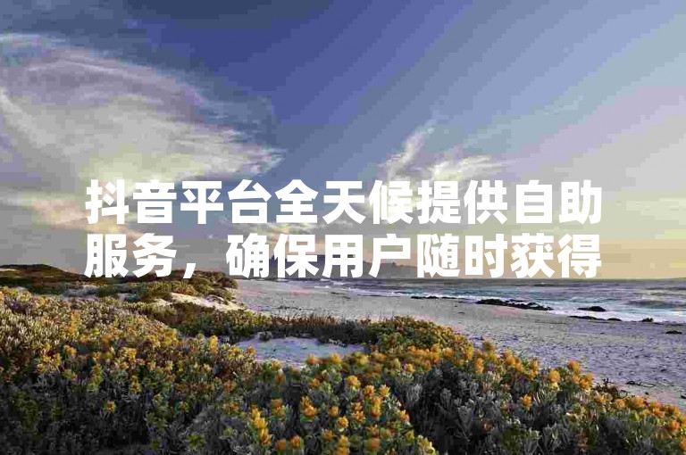 抖音平台全天候提供自助服务，确保用户随时获得支持。