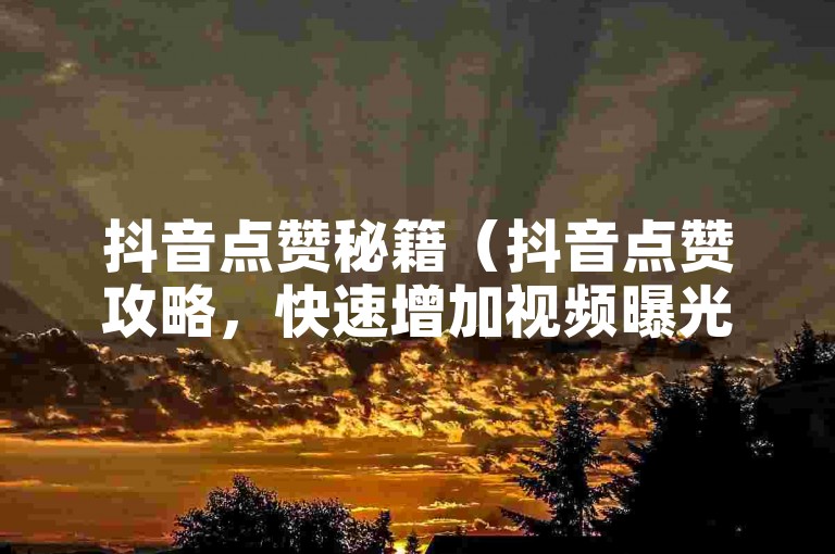 抖音点赞秘籍（抖音点赞攻略，快速增加视频曝光度的实用方法）