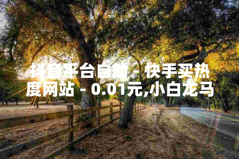 抖音平台自助 - 快手买热度网站 - 0.01元,小白龙马山有限责任公司