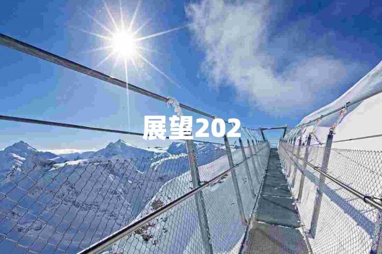 展望2025年，拼多多互助QQ群将以全新的姿态亮相，引领未来互助社群的新风尚。