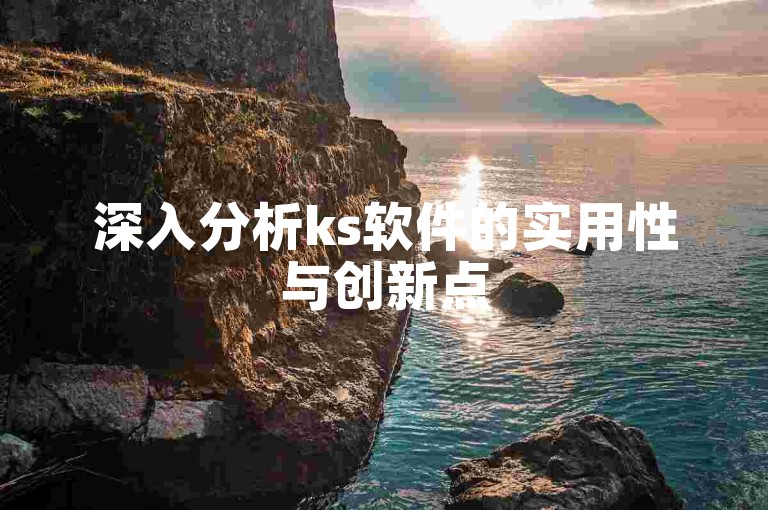 深入分析ks软件的实用性与创新点