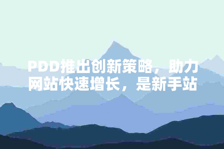 PDD推出创新策略，助力网站快速增长，是新手站长的优选方案！