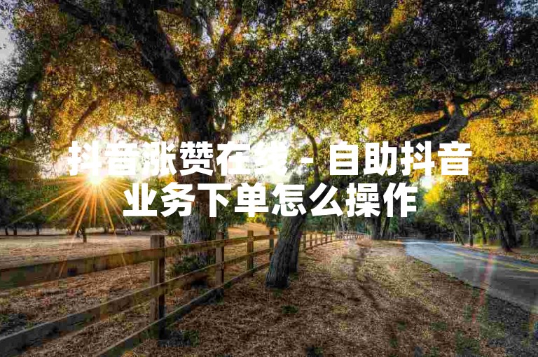 抖音涨赞在线 - 自助抖音业务下单怎么操作