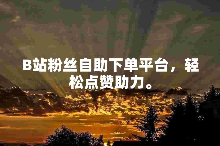 B站粉丝自助下单平台，轻松点赞助力。