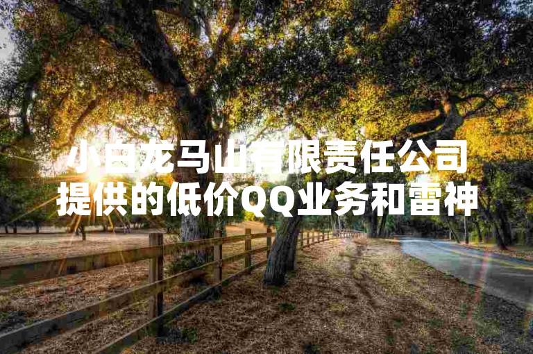 小白龙马山有限责任公司提供的低价QQ业务和雷神网24小时秒单服务，是寻找经济实惠网络解决方案的理想选择。