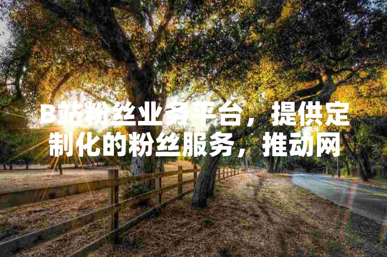 B站粉丝业务平台，提供定制化的粉丝服务，推动网红事业迈向新高峰。