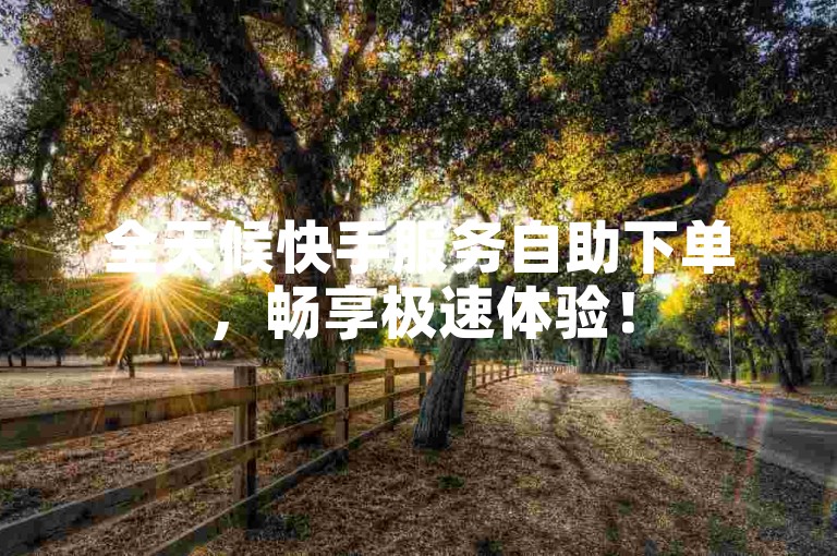 全天候快手服务自助下单，畅享极速体验！