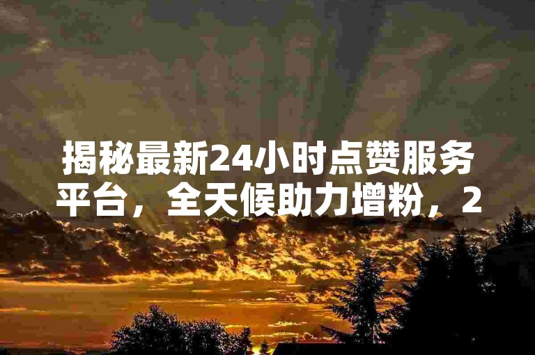 揭秘最新24小时点赞服务平台，全天候助力增粉，2024年必备技能！