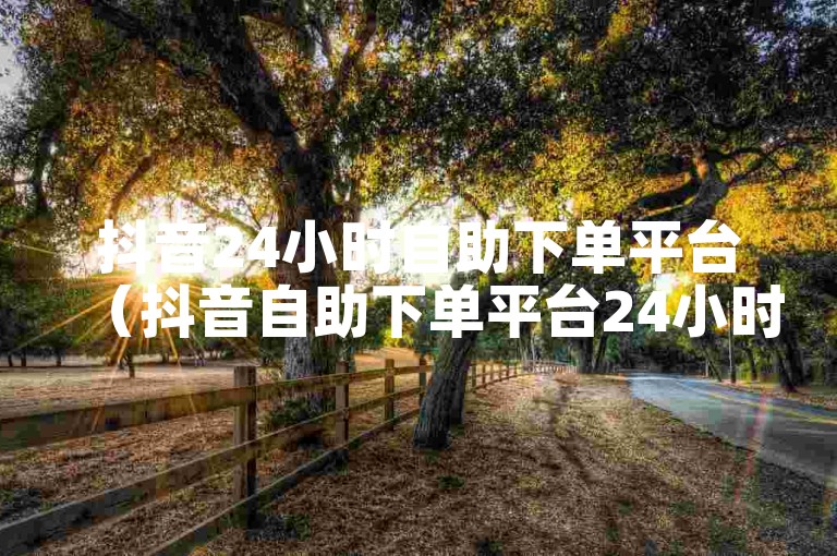 抖音24小时自助下单平台（抖音自助下单平台24小时服务）