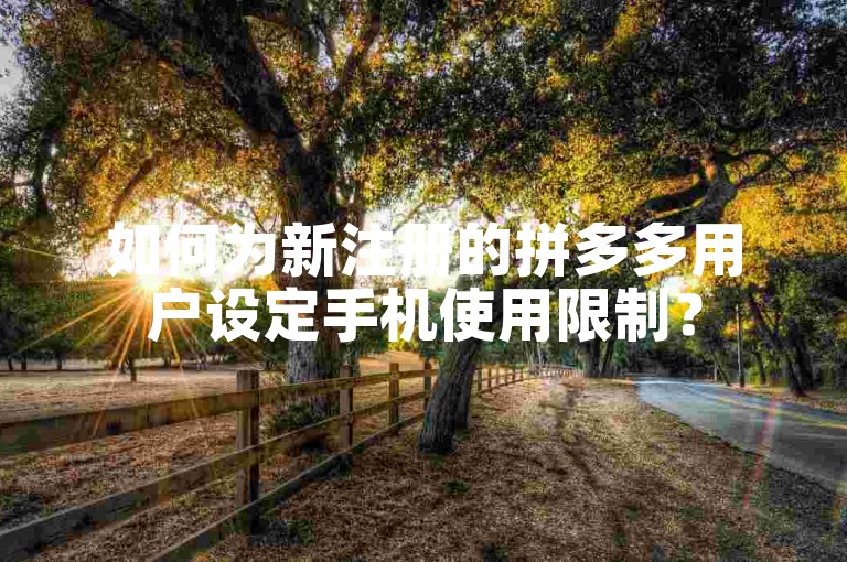 如何为新注册的拼多多用户设定手机使用限制？