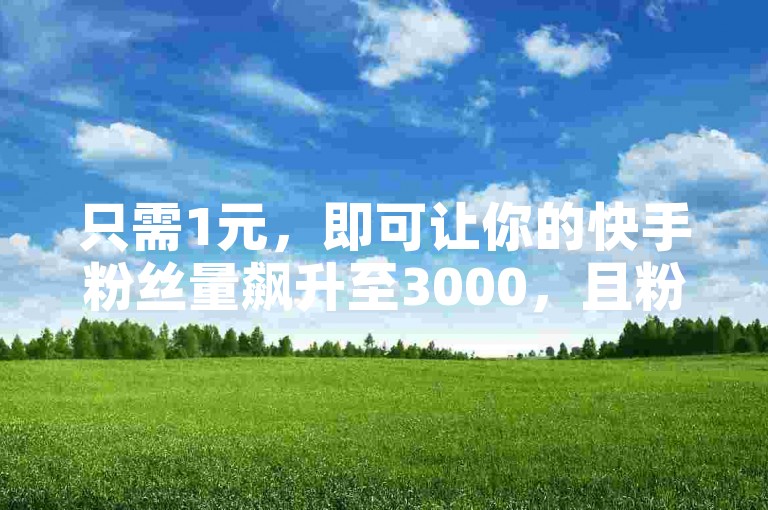 只需1元，即可让你的快手粉丝量飙升至3000，且粉丝稳定不掉，2025年必备秘籍！