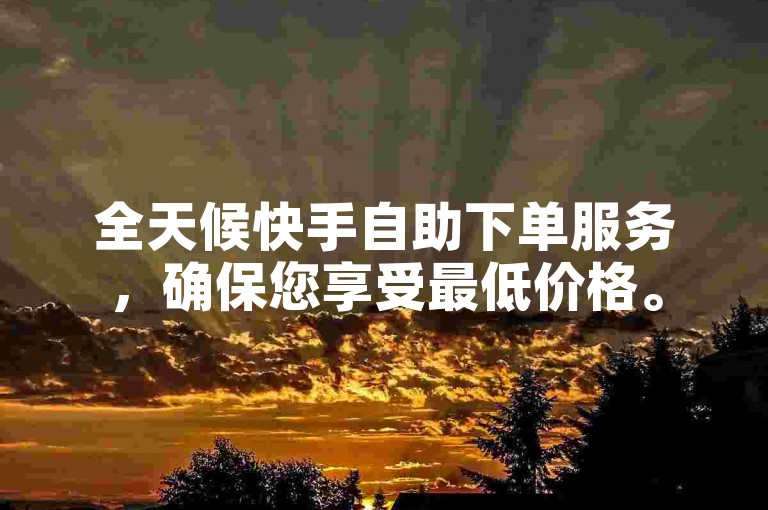 全天候快手自助下单服务，确保您享受最低价格。
