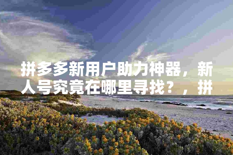 拼多多新用户助力神器，新人号究竟在哪里寻找？，拼多多新用户助力神器，新人号究竟在哪里寻找？