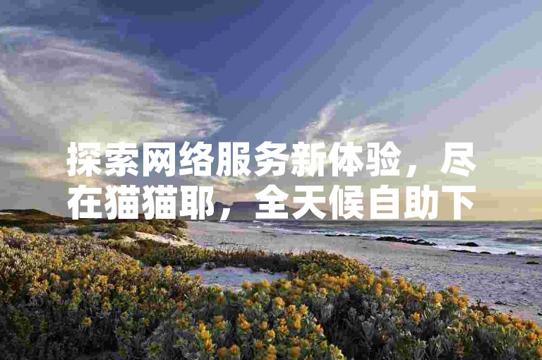 探索网络服务新体验，尽在猫猫耶，全天候自助下单，轻松获取ks点赞支持。