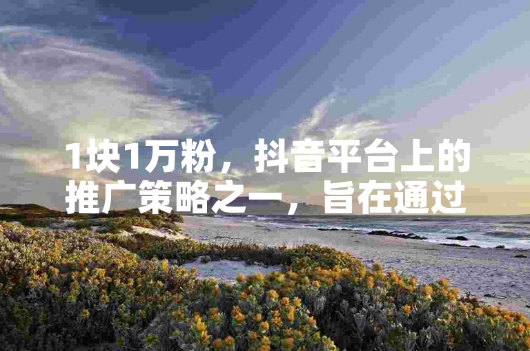 1块1万粉，抖音平台上的推广策略之一，旨在通过经济激励吸引用户关注。