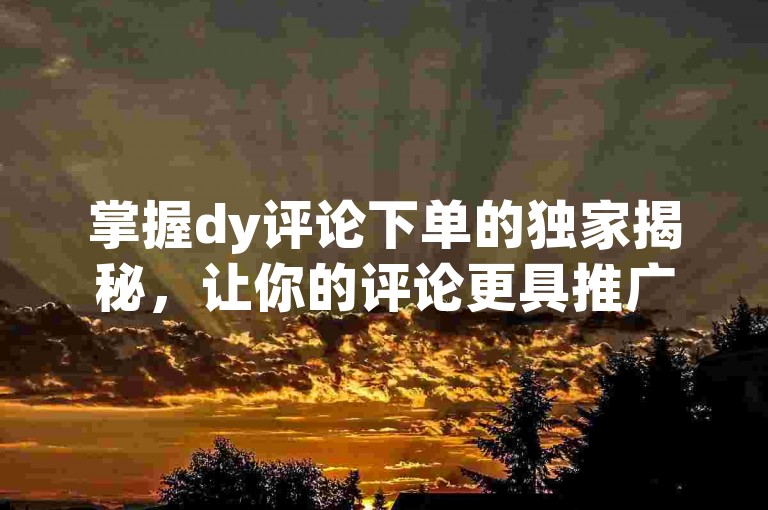 掌握dy评论下单的独家揭秘，让你的评论更具推广效果，2025年必备技能！