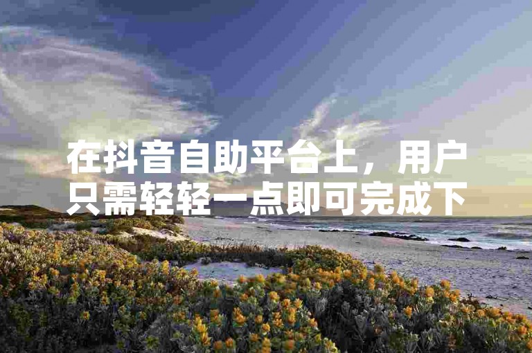 在抖音自助平台上，用户只需轻轻一点即可完成下单流程。