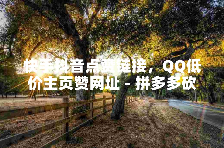 快手抖音点赞链接，QQ低价主页赞网址 - 拼多多砍刀软件代砍平台 - QQ云端名片秒赞。