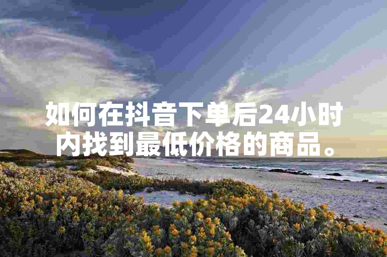 如何在抖音下单后24小时内找到最低价格的商品。