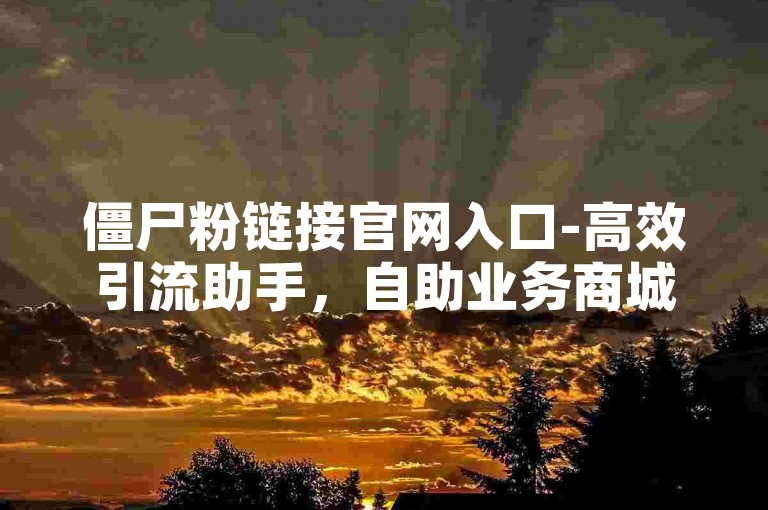 僵尸粉链接官网入口-高效引流助手，自助业务商城。