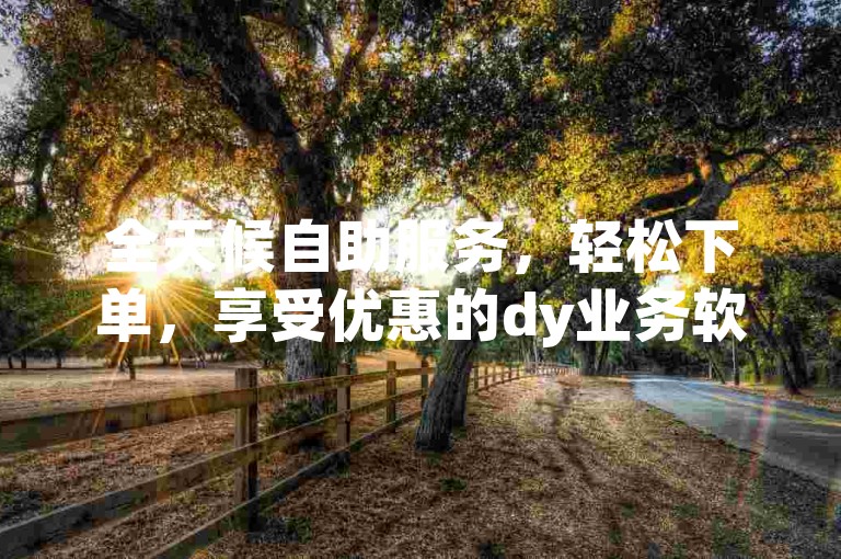 全天候自助服务，轻松下单，享受优惠的dy业务软件。