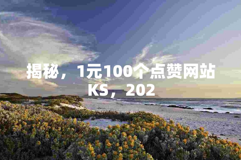 揭秘，1元100个点赞网站KS，2025年网络推广必备神器！