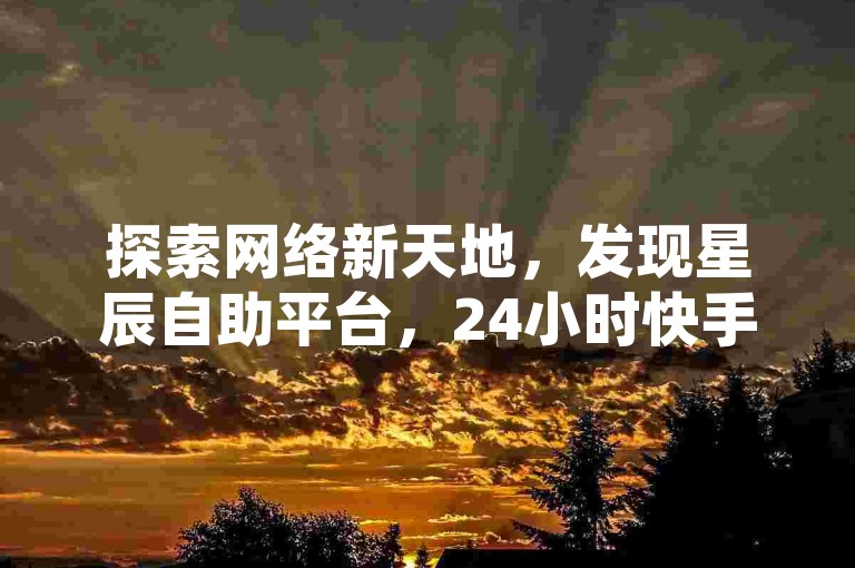 探索网络新天地，发现星辰自助平台，24小时快手服务随心选。