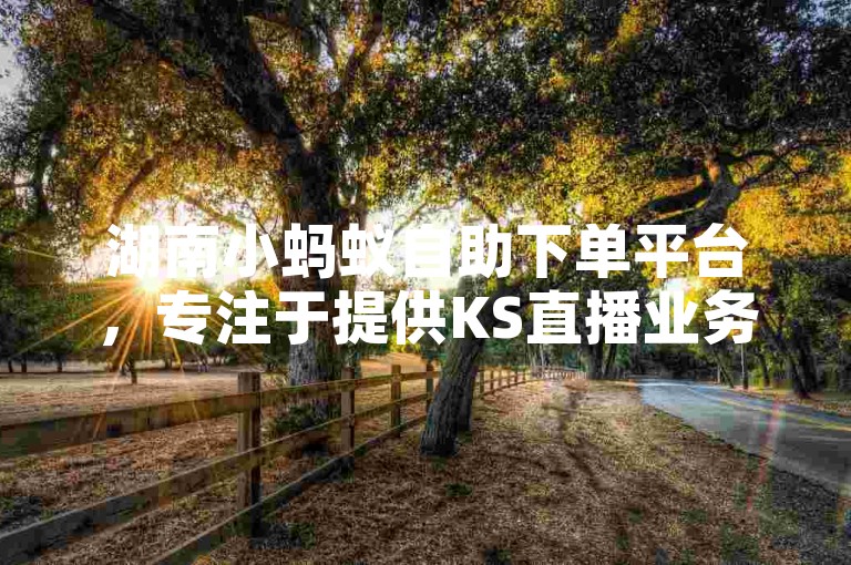 湖南小蚂蚁自助下单平台，专注于提供KS直播业务支持，助力抖音账号快速涨赞。