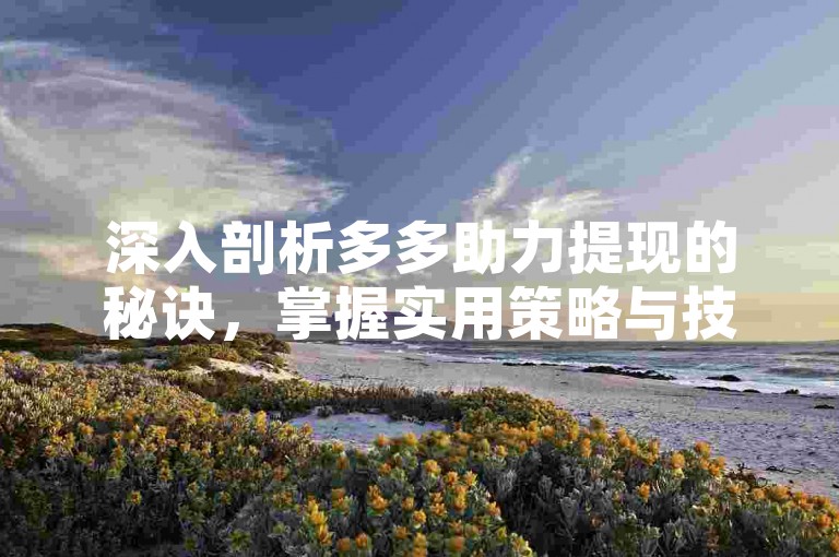 深入剖析多多助力提现的秘诀，掌握实用策略与技巧。