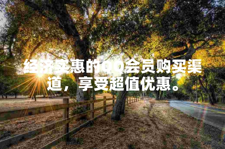 经济实惠的QQ会员购买渠道，享受超值优惠。
