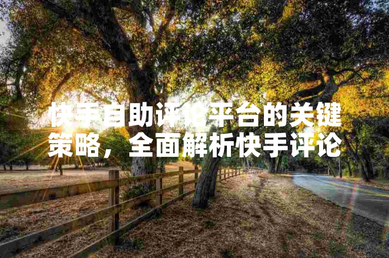 快手自助评论平台的关键策略，全面解析快手评论自助服务，新手必读指南！