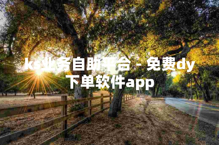 ks业务自助平台 - 免费dy下单软件app