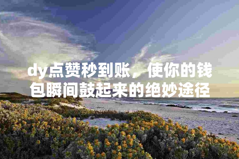 dy点赞秒到账，使你的钱包瞬间鼓起来的绝妙途径。