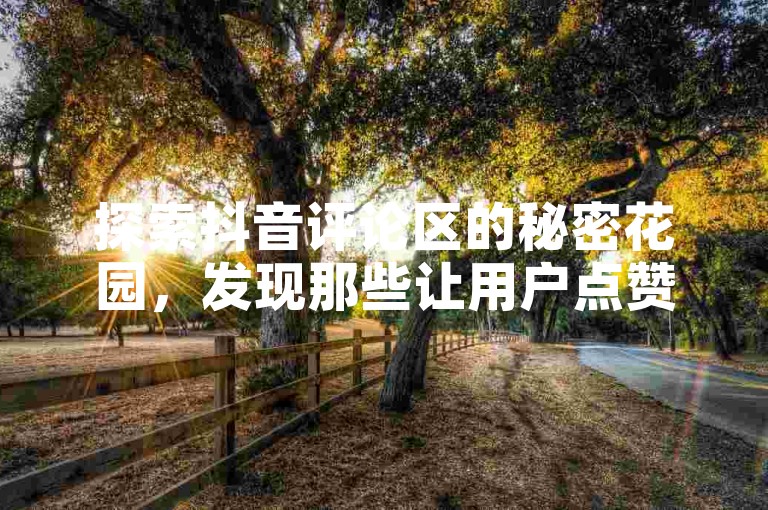 探索抖音评论区的秘密花园，发现那些让用户点赞无数的个性化评论艺术！2025年，成为评论界的创意大师。