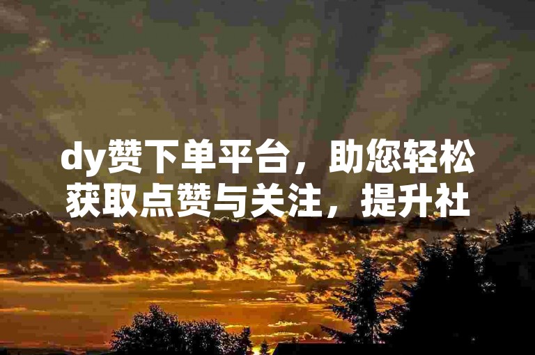 dy赞下单平台，助您轻松获取点赞与关注，提升社交影响力。