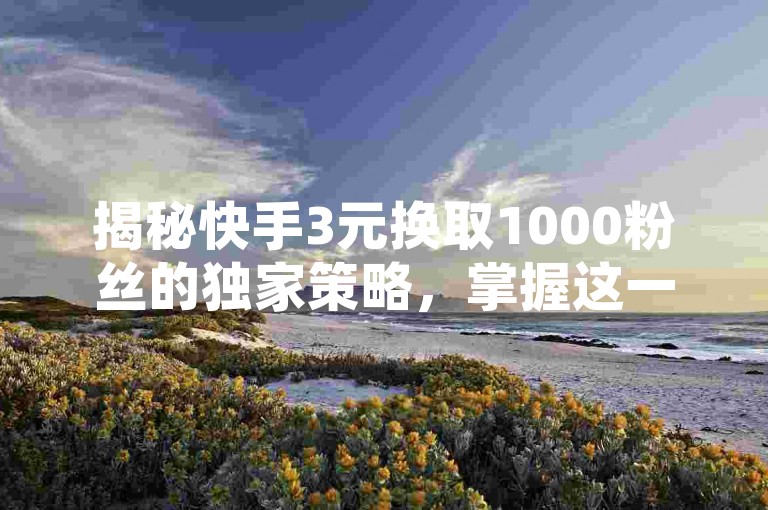 揭秘快手3元换取1000粉丝的独家策略，掌握这一技巧，让你在2024年迅速积累人气！