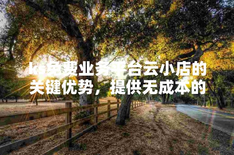ks免费业务平台云小店的关键优势，提供无成本的KS云小店服务，助力新手快速起步！