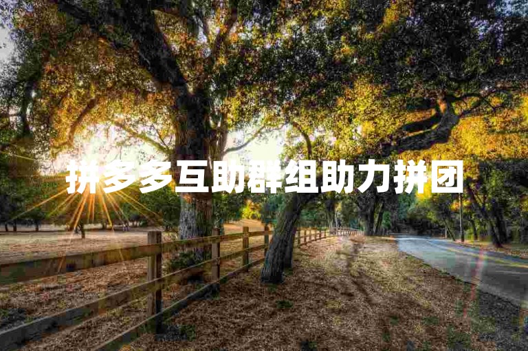 拼多多互助群组助力拼团