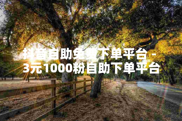 抖音自助免费下单平台 - 3元1000粉自助下单平台，让你轻松拥有大量粉丝。