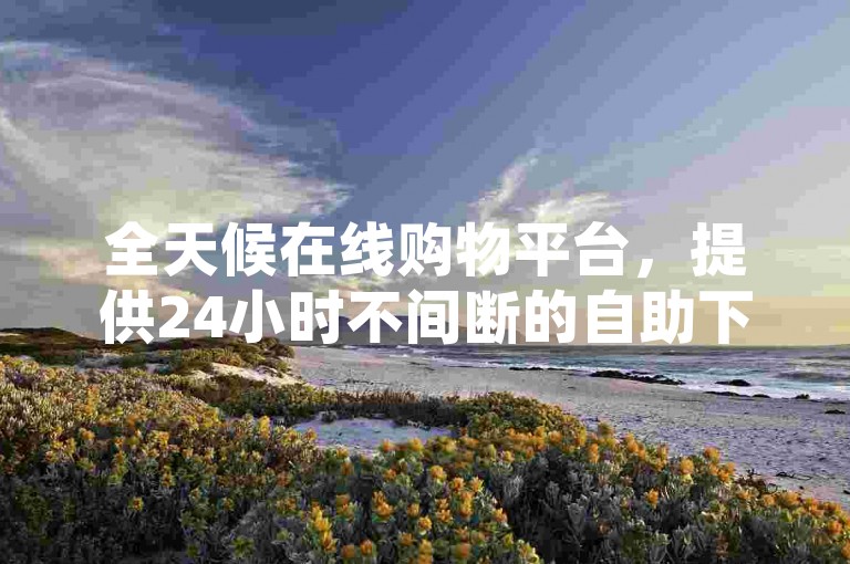 全天候在线购物平台，提供24小时不间断的自助下单服务（尽享云商城全新购物模式）。