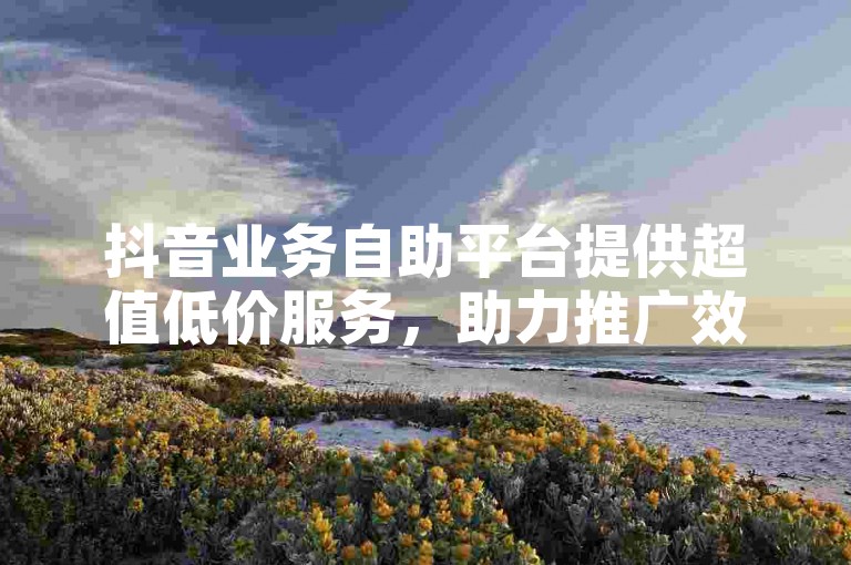 抖音业务自助平台提供超值低价服务，助力推广效果显著。