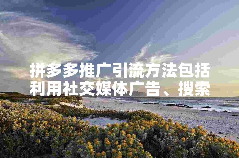 拼多多推广引流方法包括利用社交媒体广告、搜索引擎优化、内容营销和合作联盟等策略。