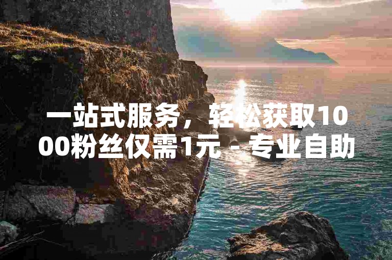 一站式服务，轻松获取1000粉丝仅需1元 - 专业自助下单平台。