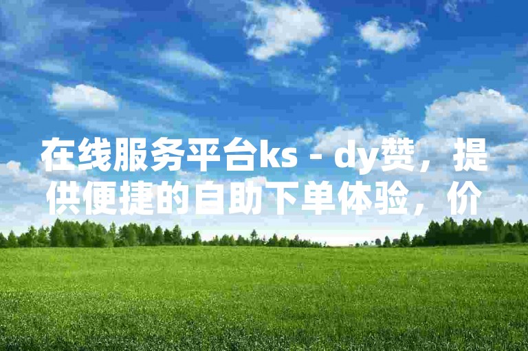 在线服务平台ks - dy赞，提供便捷的自助下单体验，价格亲民。