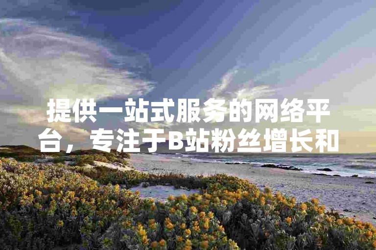 提供一站式服务的网络平台，专注于B站粉丝增长和QQ超级会员充值，以全网最低价格吸引用户。