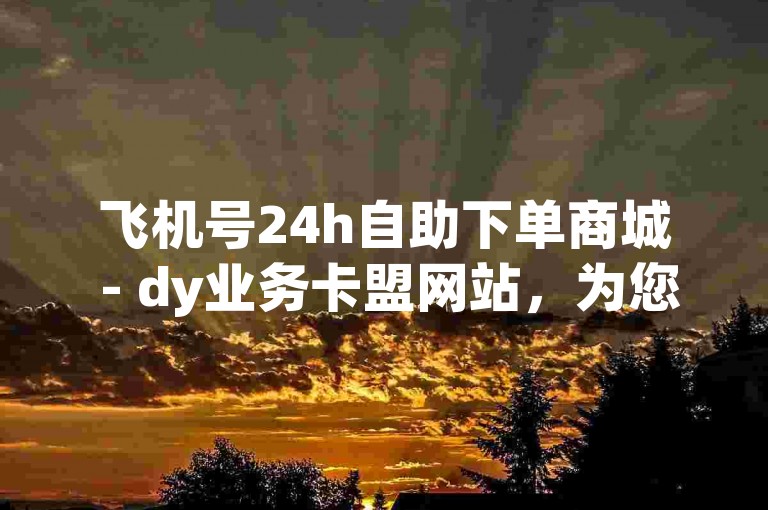 飞机号24h自助下单商城 - dy业务卡盟网站，为您提供便捷的在线服务体验。