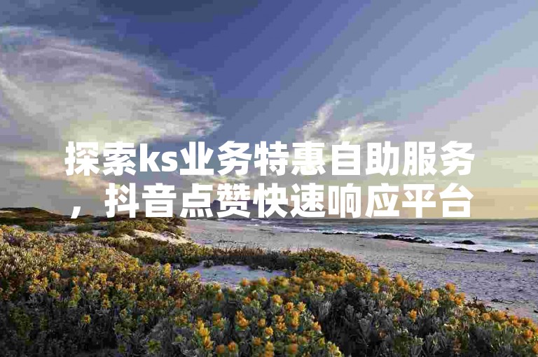 探索ks业务特惠自助服务，抖音点赞快速响应平台。